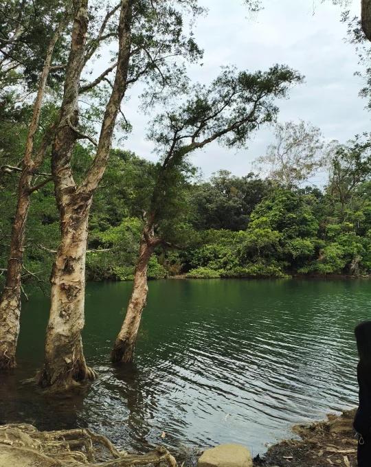 🇭🇰城门水塘的嘛喽是真凶（附攻略）
实际自己去了才发现，其他人的攻略还是不够