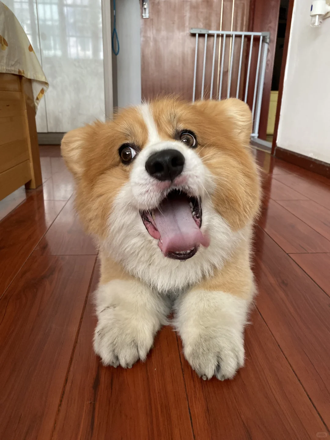中秋节快乐呀