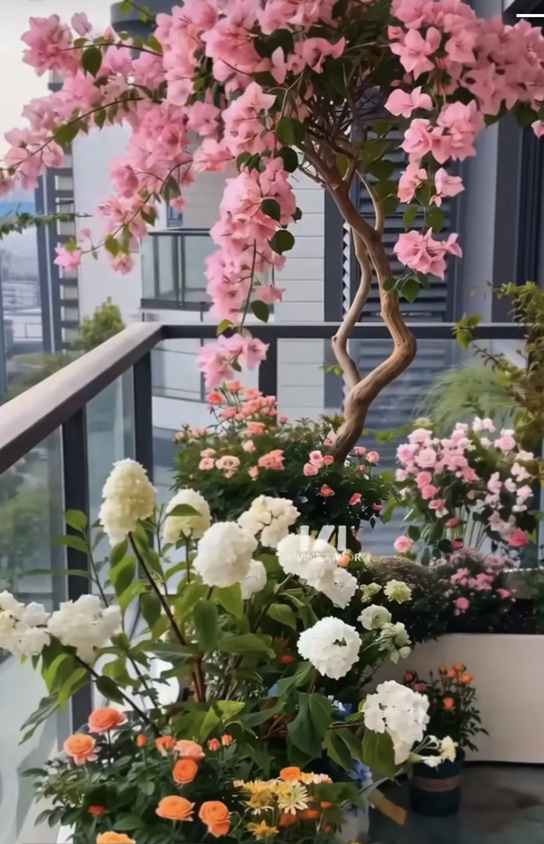 与自己和解，是终身的课题。