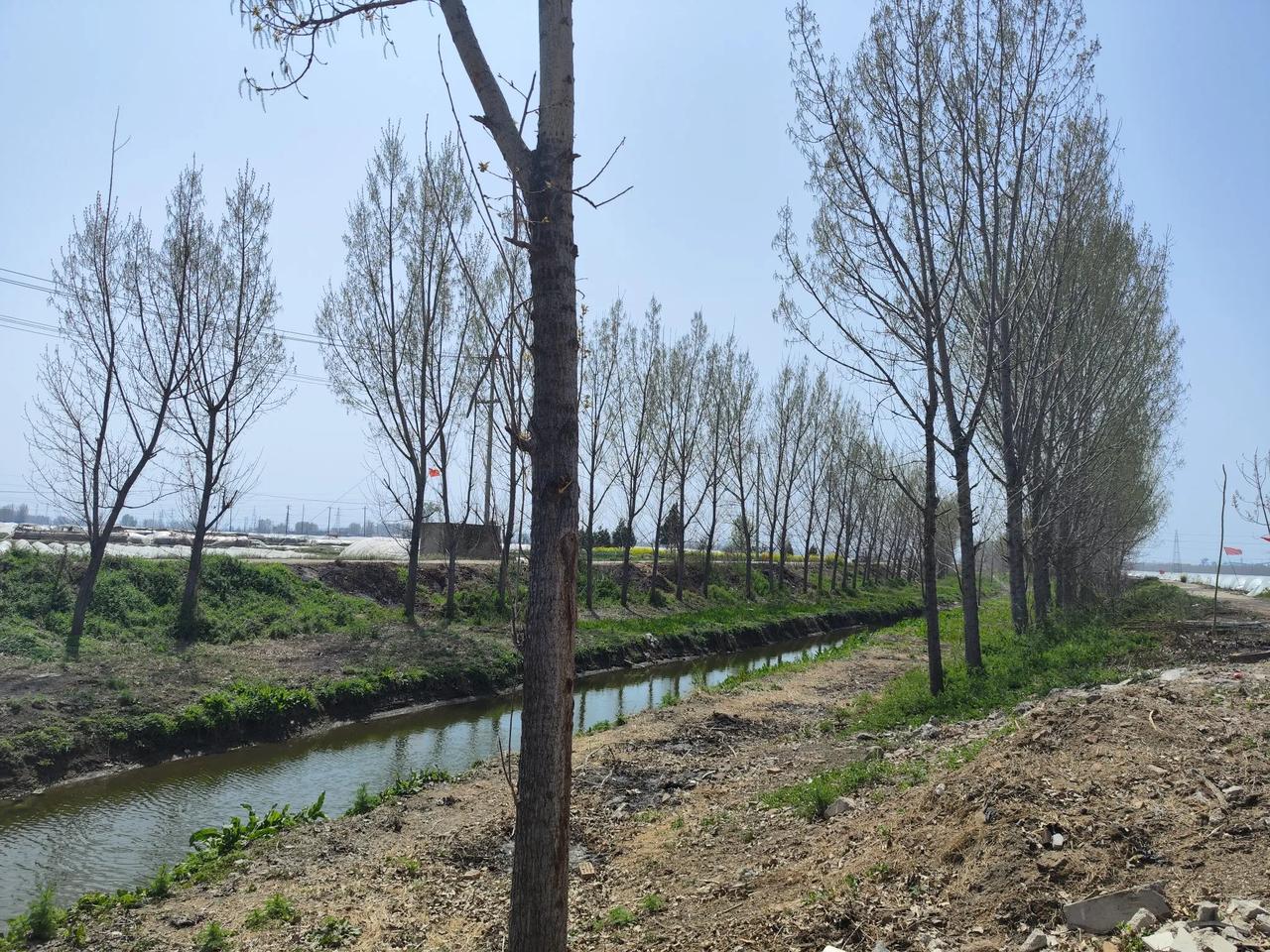 滕州市大坞镇大刘庄南村的村头河边发现了一块清朝时期的墓碑。