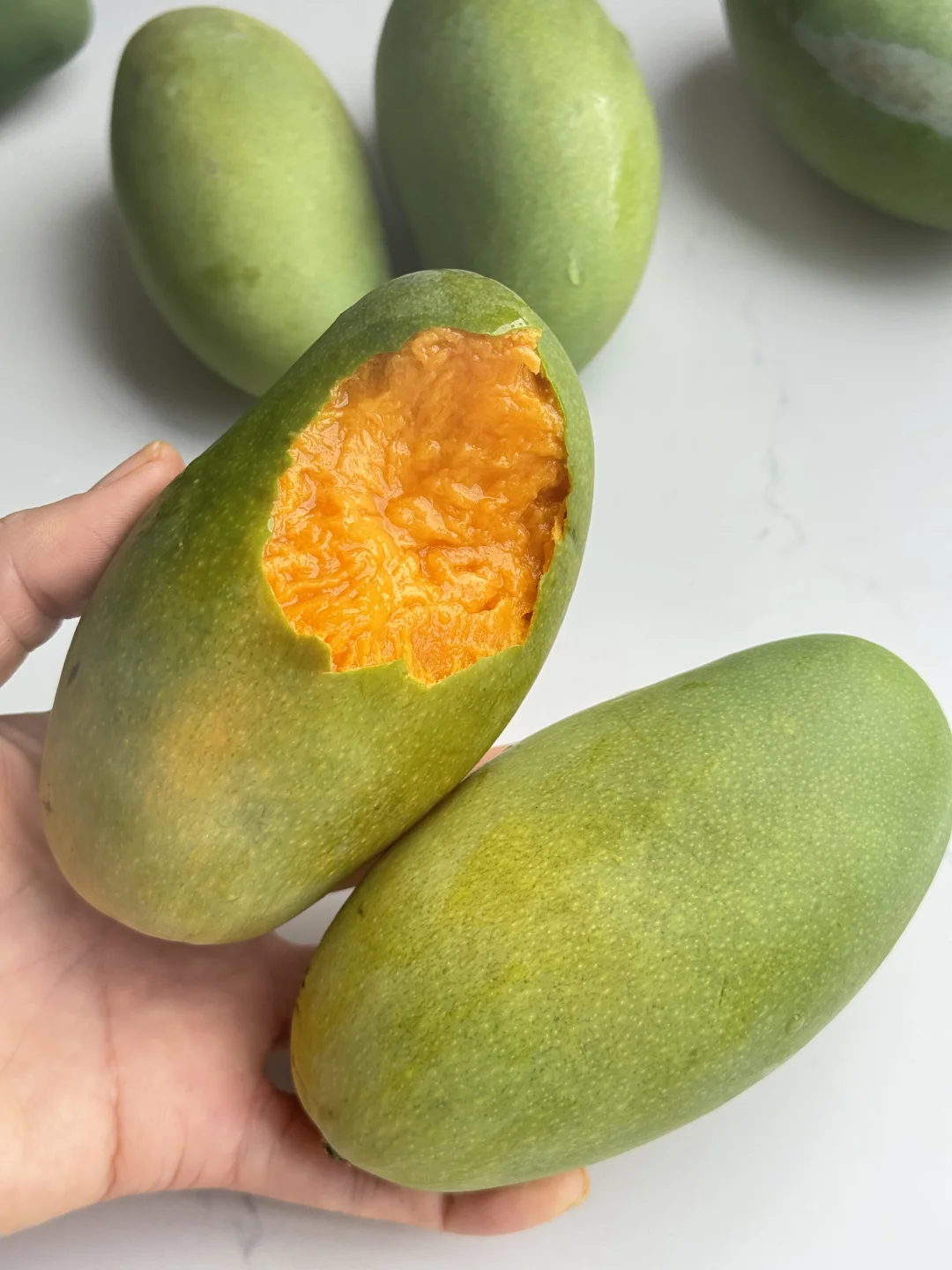 芒果中我求求你们真的要吃他，老粉丝闭眼入！