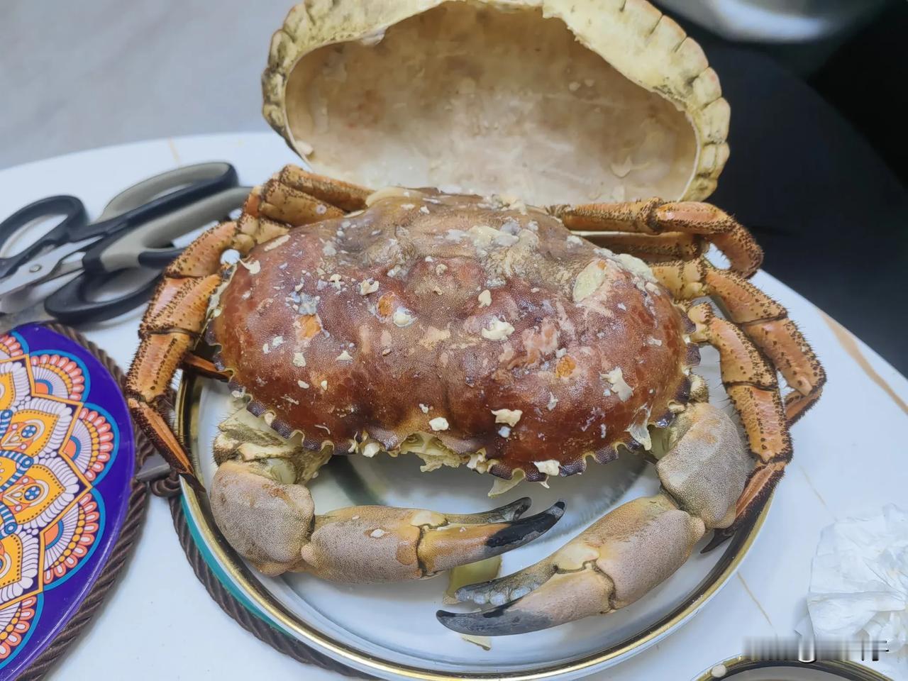 膏满蟹肥，收获满满