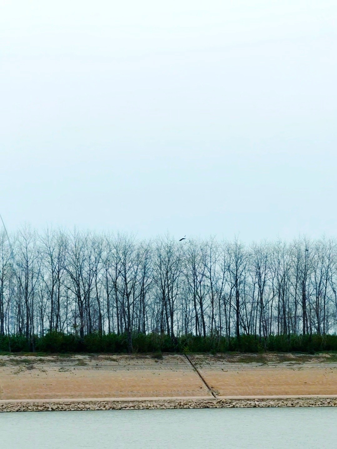 以自己喜欢的方式生活吧，可以忙，可以累，但不可以不开心 