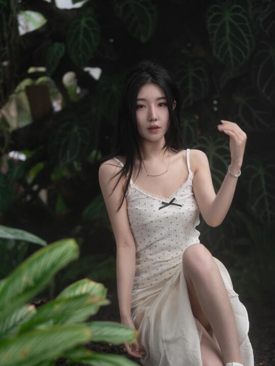 穿梭在热带雨林