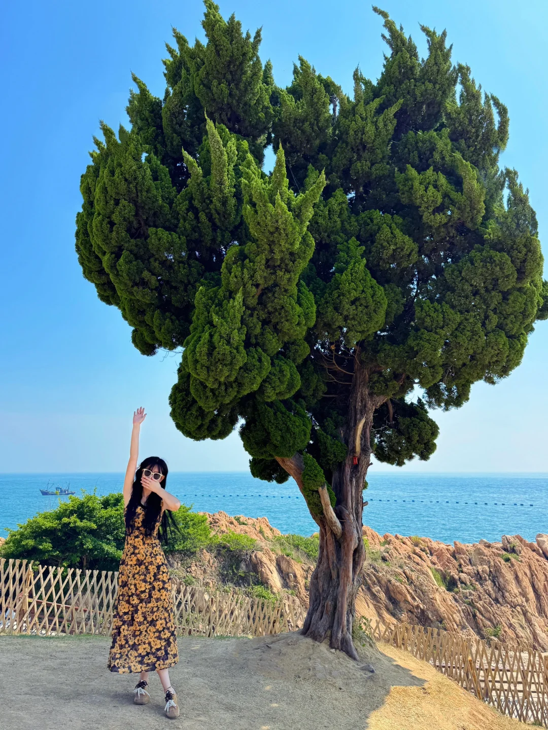 青岛一日游‼️建议直接复制这条seawalk路线