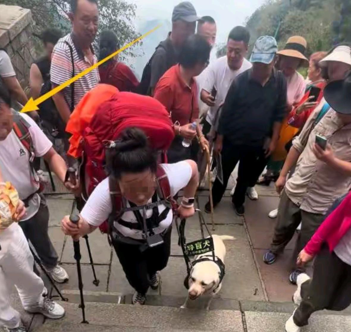 你们还记得之前热搜上那对

带着导盲犬爬泰山的盲人夫妻吗

后来事情总算有了后续