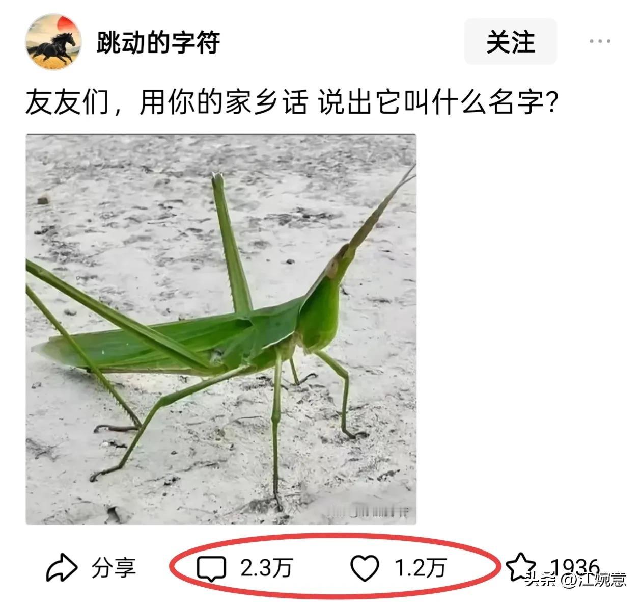 头条，真的是一个能够创造奇迹的地方！

17个字，2个标点符号，1张图片，竟然获
