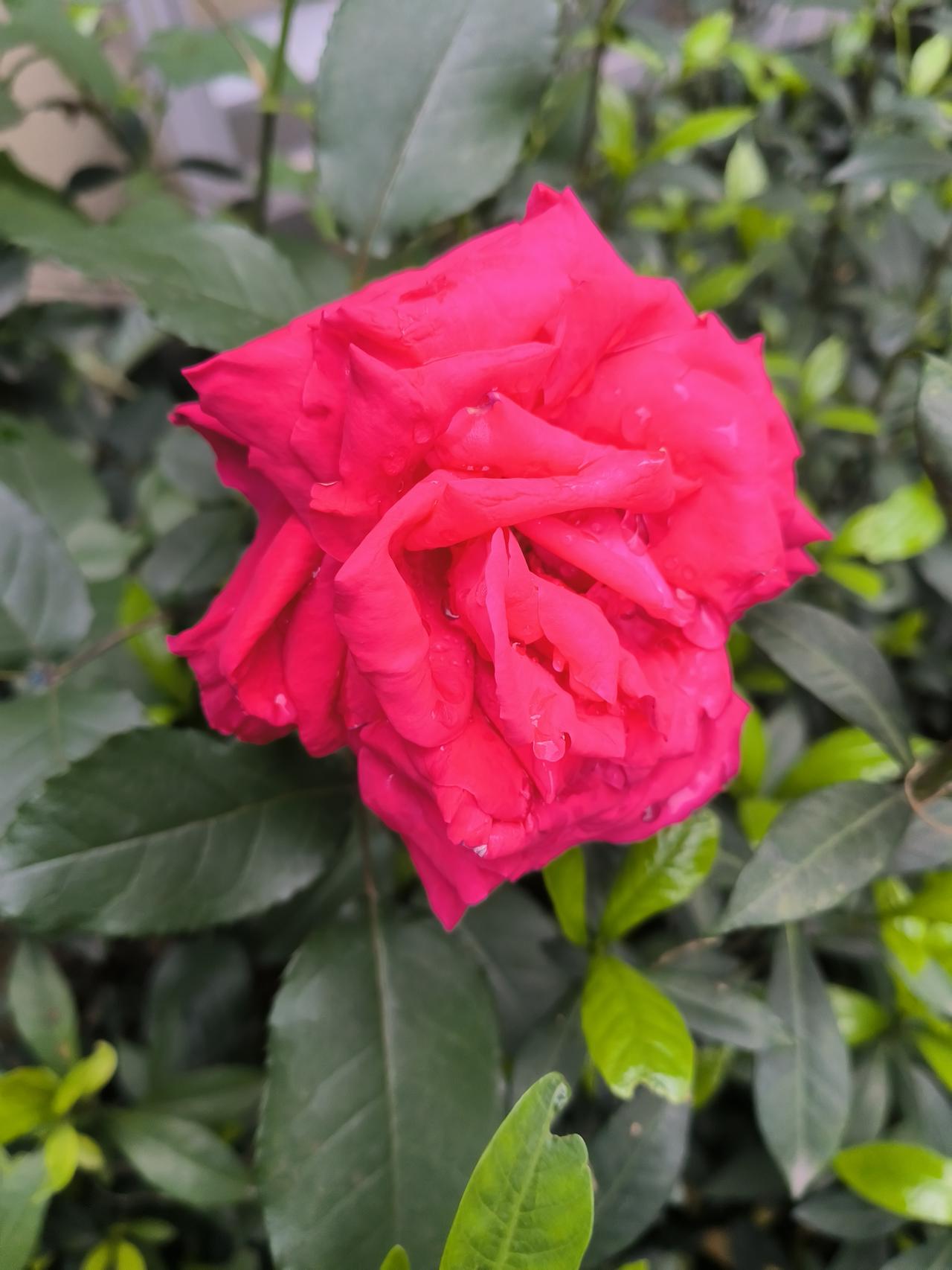 建议所有婆婆，
在儿子家里，
要学会闭嘴。
你越唠叨，儿子儿媳越反感，矛盾越多；