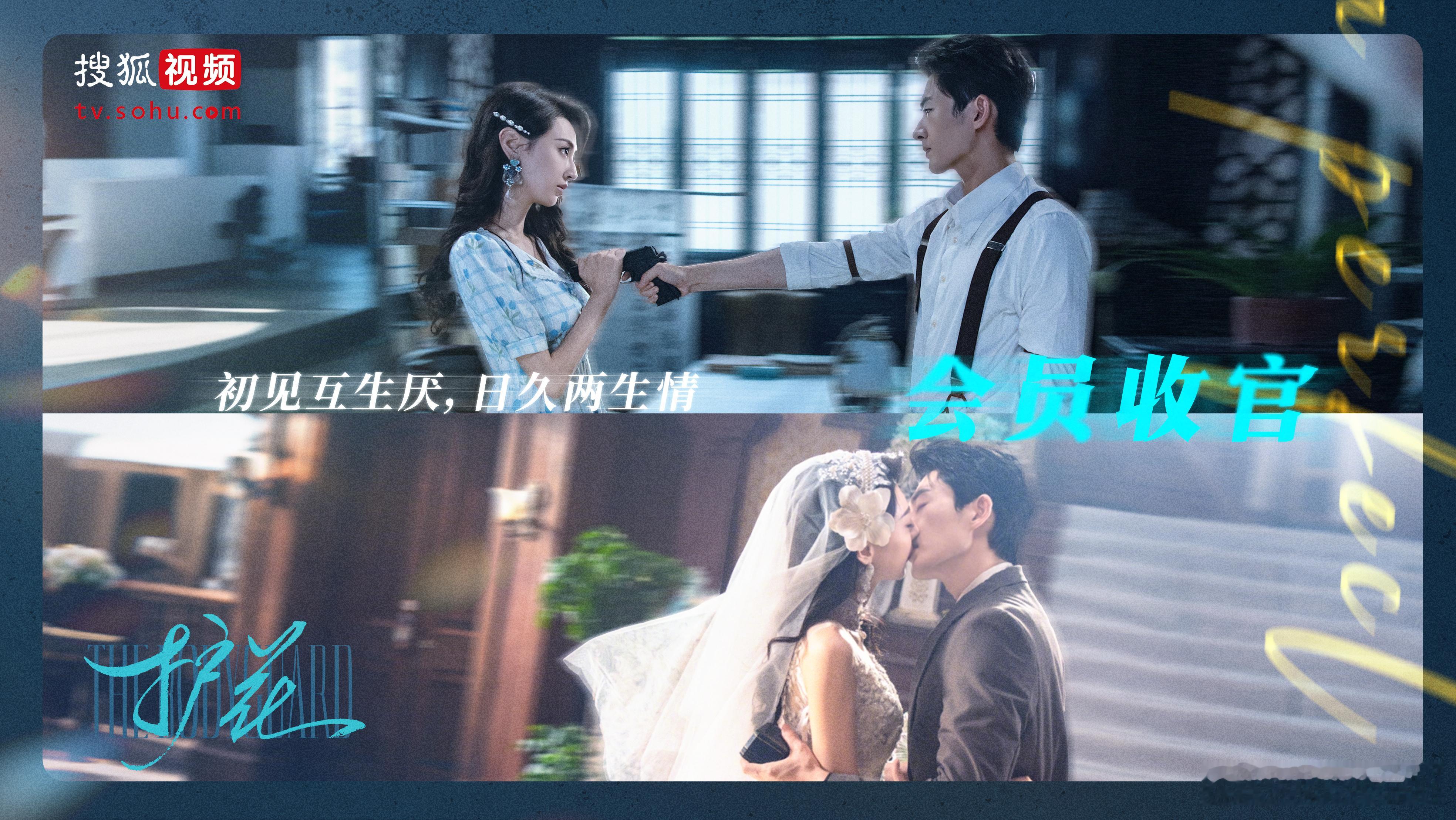 哪有嫂子文学这是大嫂文学 都给我记好！这是大嫂文学！《护花》白媚儿逆袭复仇，事业