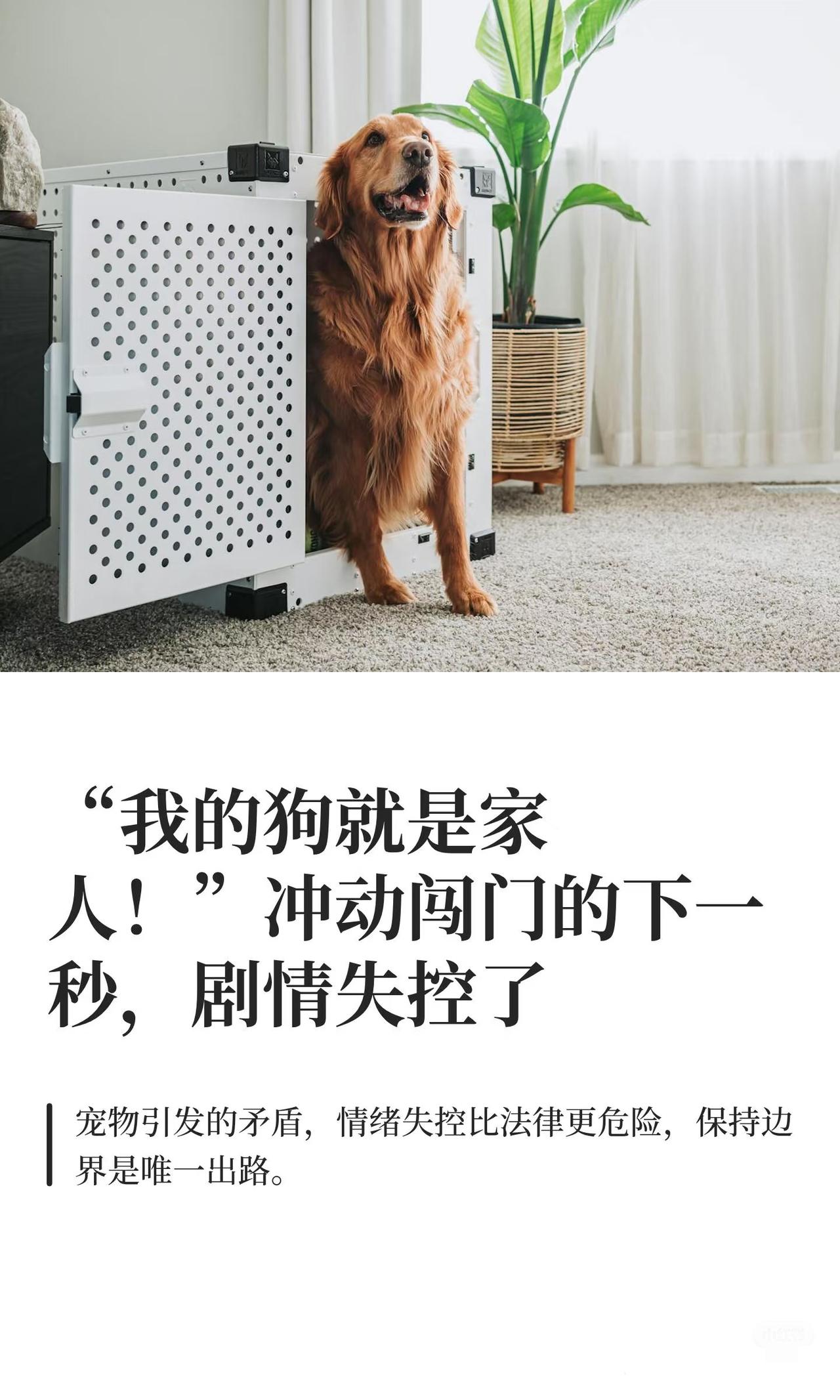 山西郭某的名言
我的狗就是我的家人
所以他把家人拴路边，家人可以咬人，人不能欺负