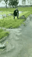 两个人抓鱼，看得我着急，这条鱼太聪明了，看着看着我都希望这两个人千万不要抓到它，