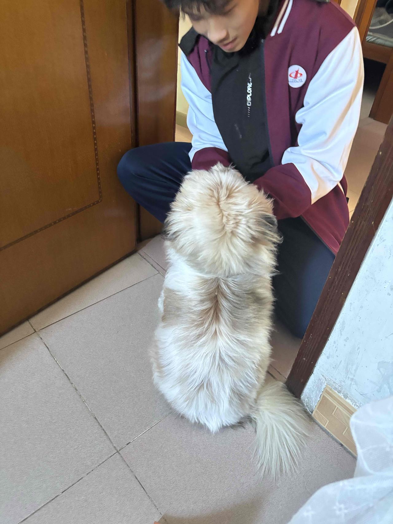 幸福就是，阳台上晾着干透的衬衫，下班回家就有香香的饭菜做好在桌上，有家人的欢声笑