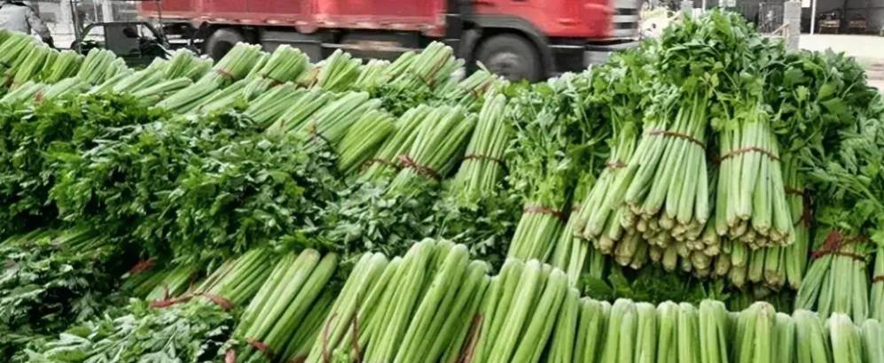 福州一老农卖70斤不合格芹菜获利14元，被市场监管部门累计处罚10万元，法院裁定