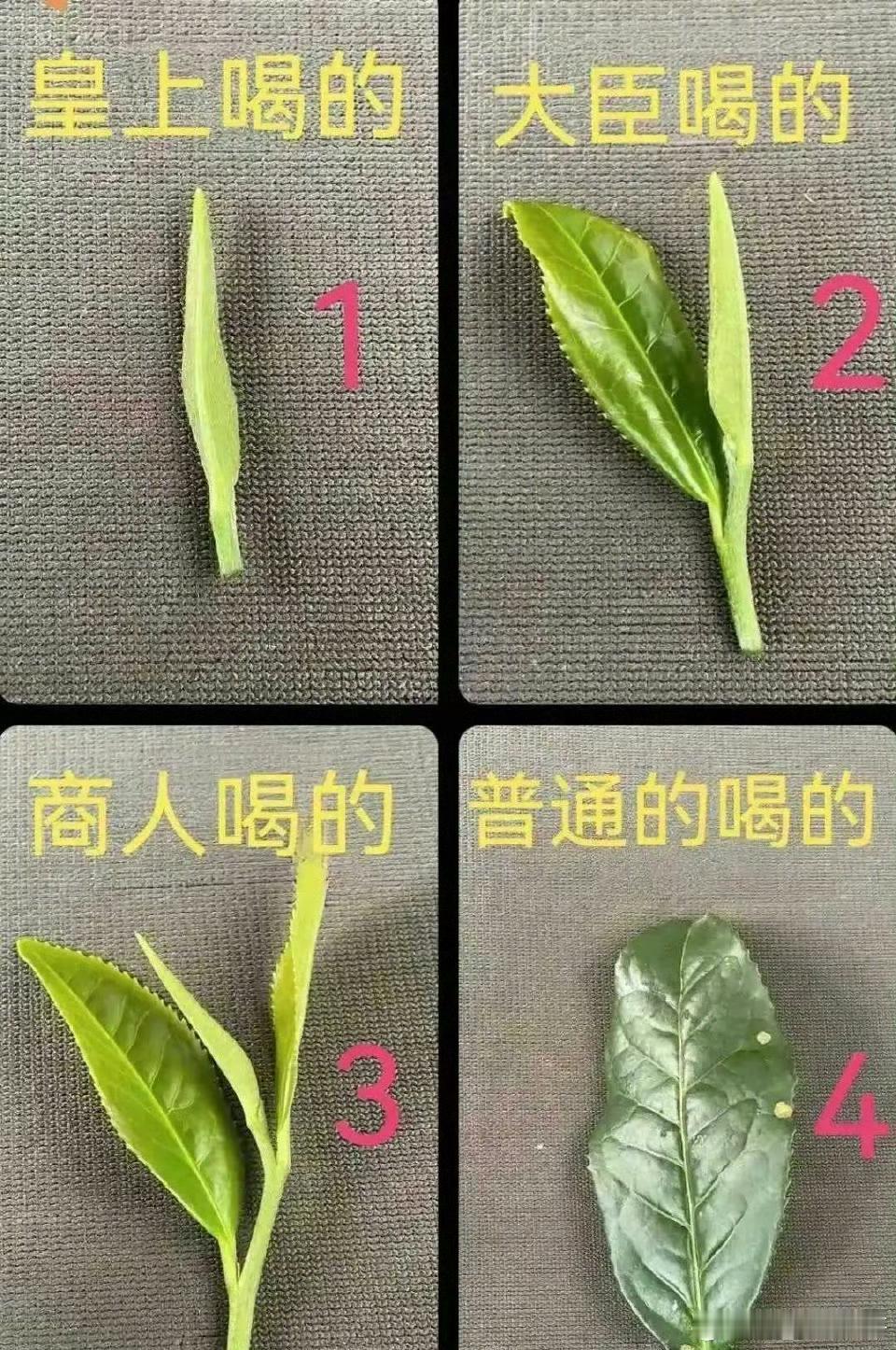 古代真的是这样？ 