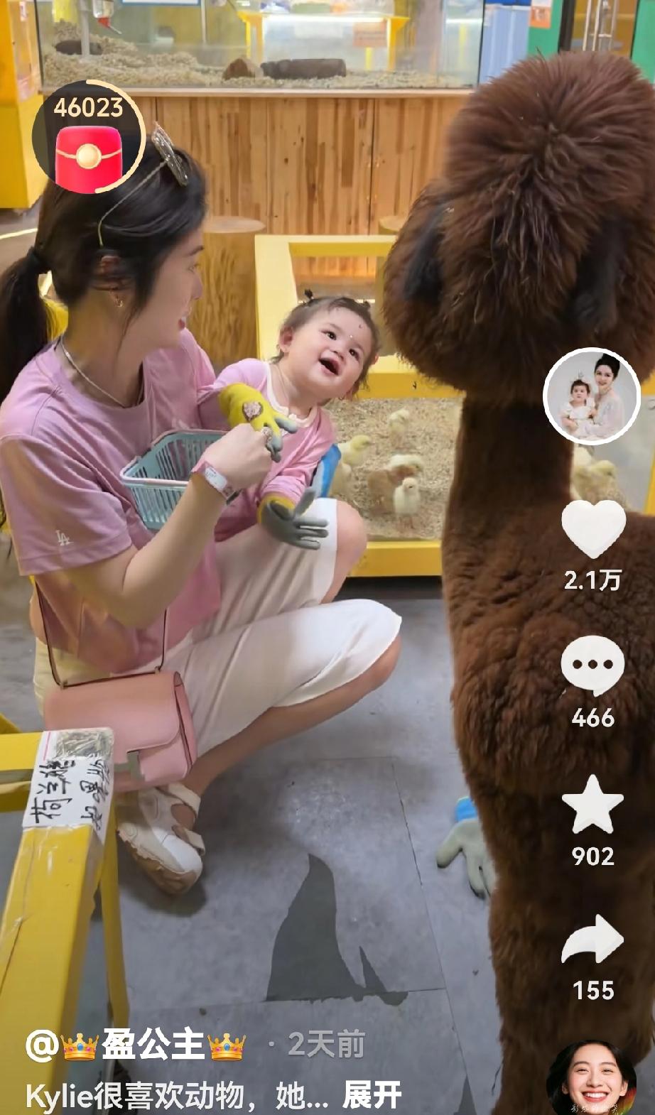 小凯莉特别喜欢小动物，和羊驼互动一点儿也不害怕，眼里藏不住的喜爱，妈妈喂饭，静静