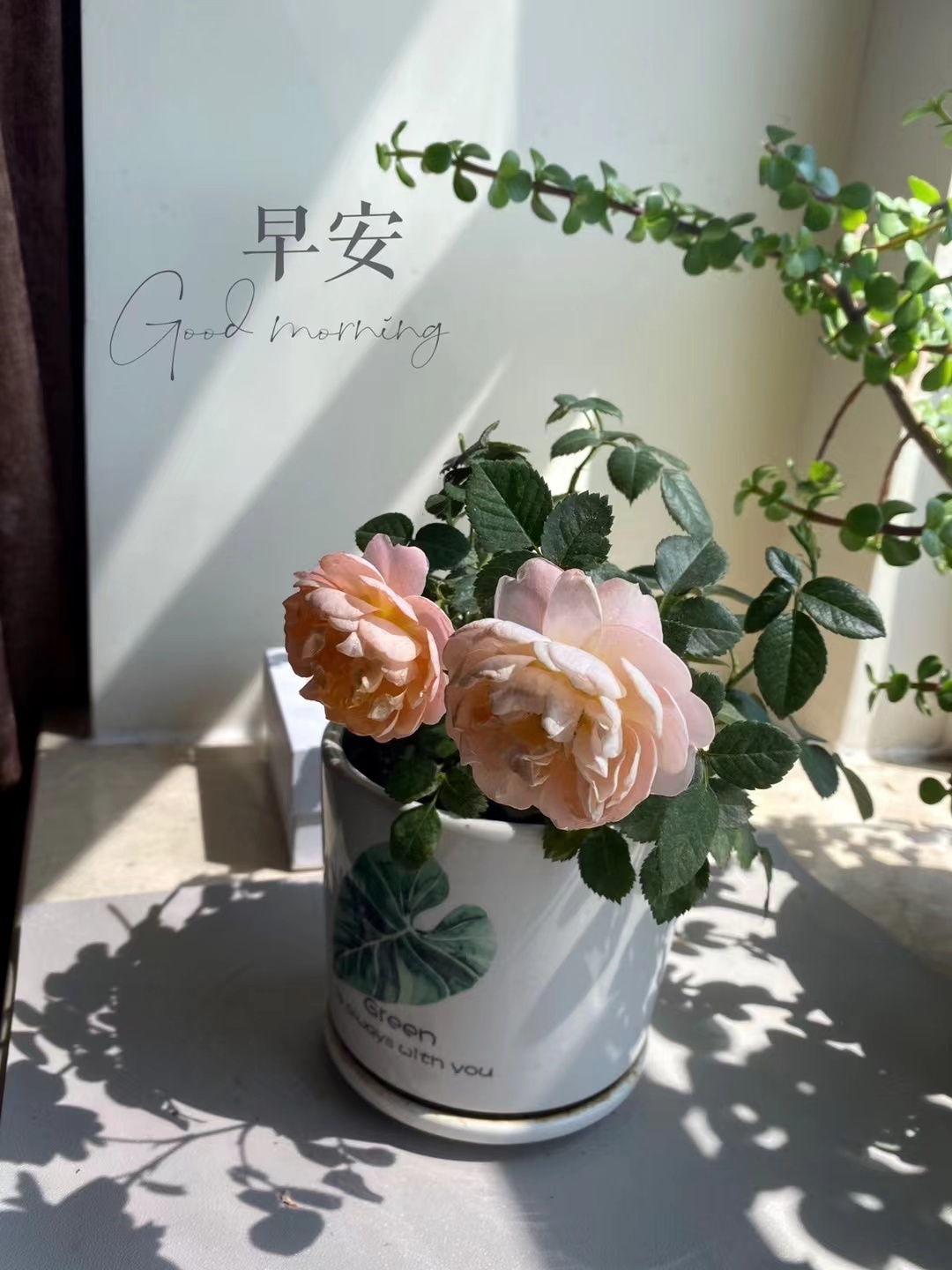 今晚开始下楼运动不知道能不能坚持下去 