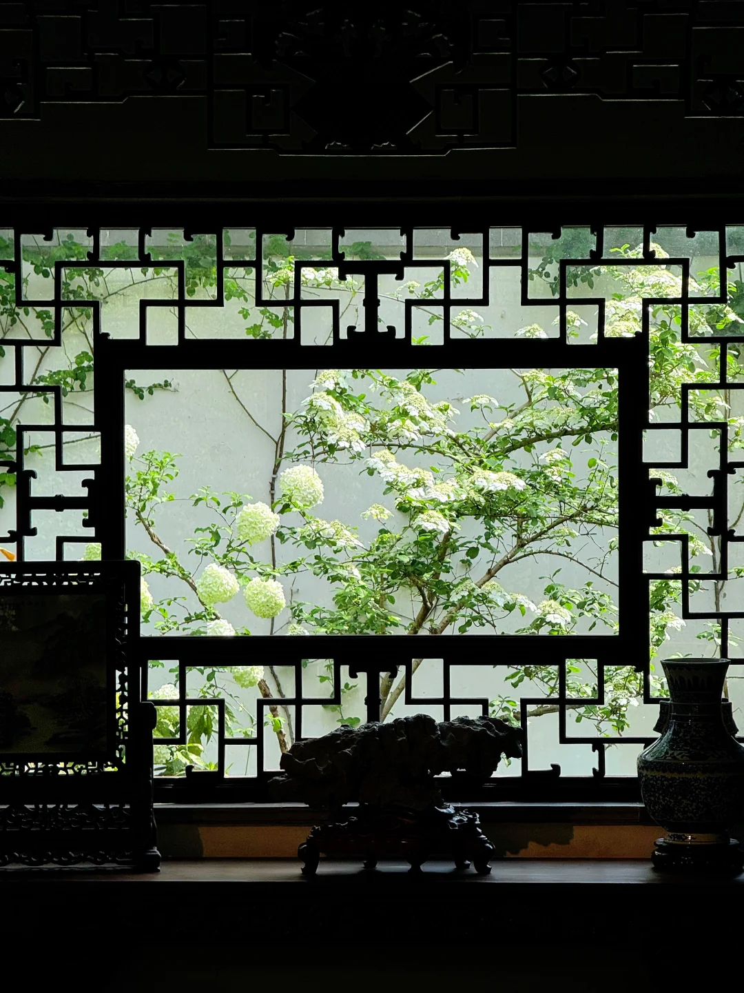 4.9实拍 | 木绣球花窗，把姑苏的春天绣成画