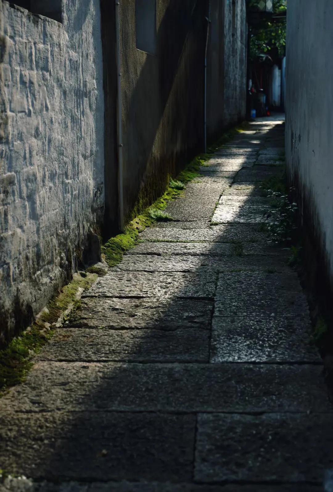 老街旧巷，
小桥流水。
青石板路，
晃晃悠悠的乌篷船。
洗衣的阿姨，
听曲儿的老