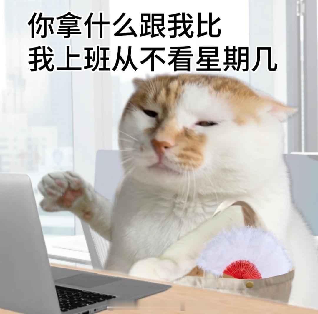 菲尔兹奖美国得主在央视辩论赛夺冠难得有中国人获奖了听说这个奖项算是数学界的诺贝尔