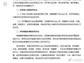 足坛假赌黑第三批处罚名单：丁勇等17人终身禁足，追加扣梅州6分网页链接