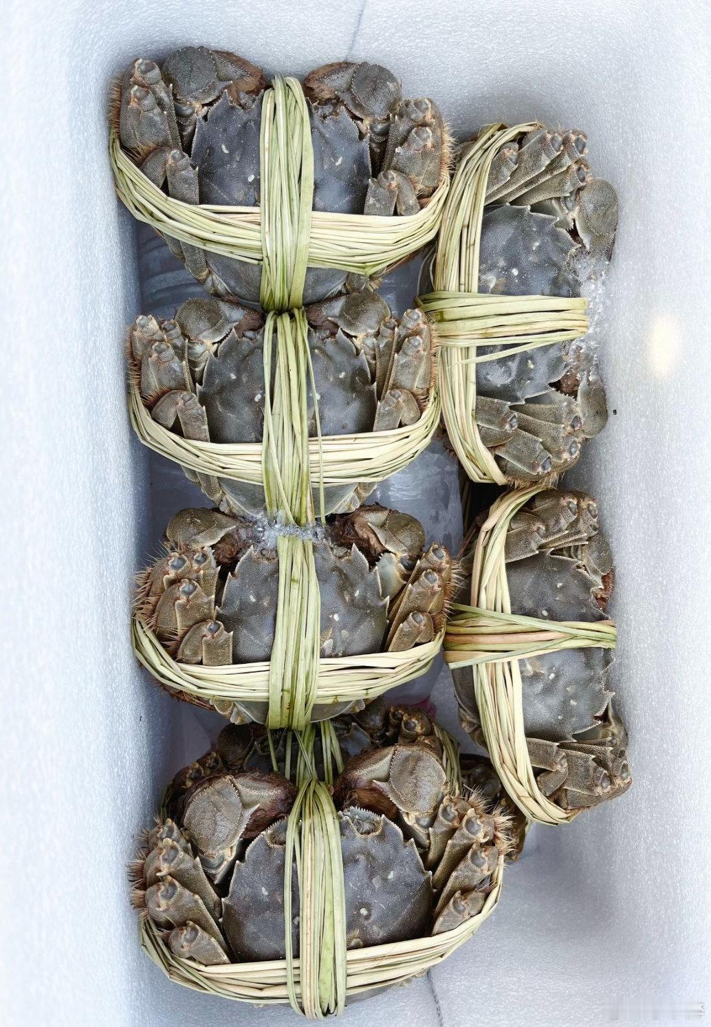 一代人有一代人的过节团圆方式放假盯着想家的方向，直接 emo 到发呆！还好现在快