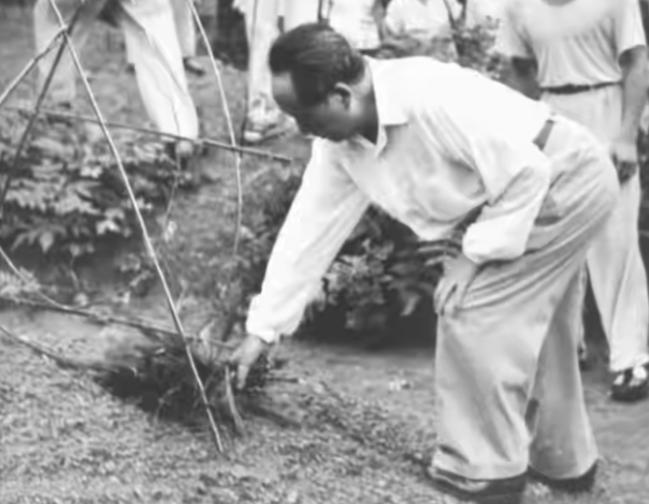 1959年，毛主席回韶山，当地干部因堂弟毛碧珠是富农，没安排他们见面，主席找人时