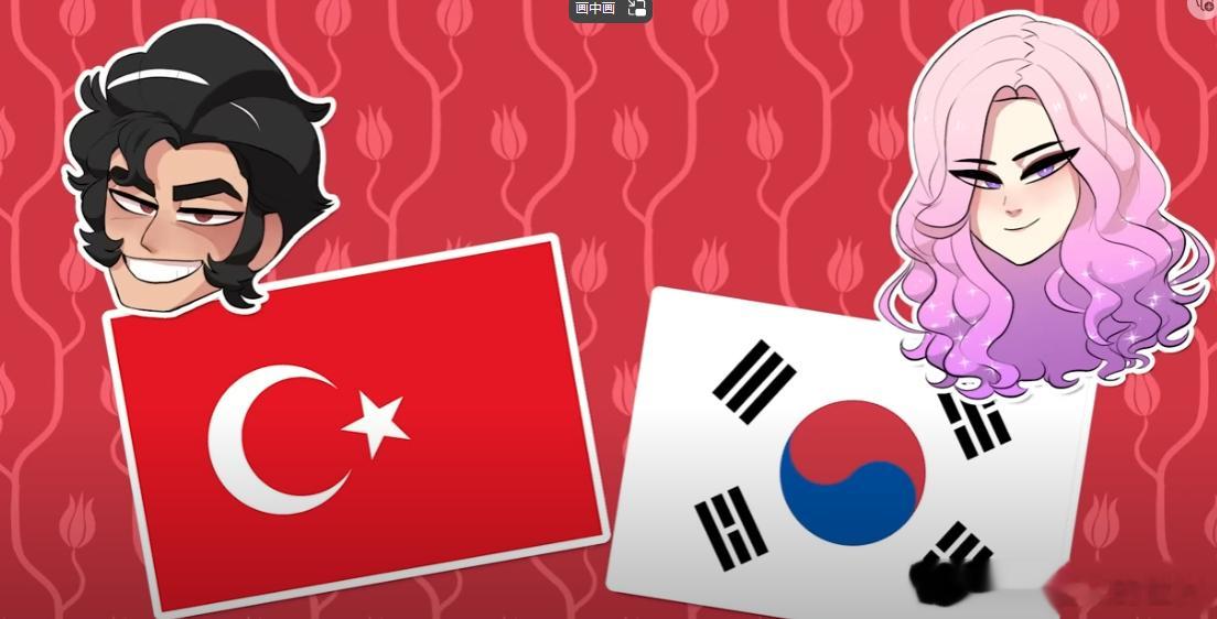 看了一个土耳其和韩国之间联系的视频。[吃瓜]能有什么联系？朝鲜战争？古代？好像唯