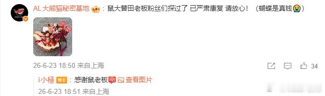 Flandre探望Meiko送了猪蹄花篮，Meiko已严肃康复Meiko在线等一
