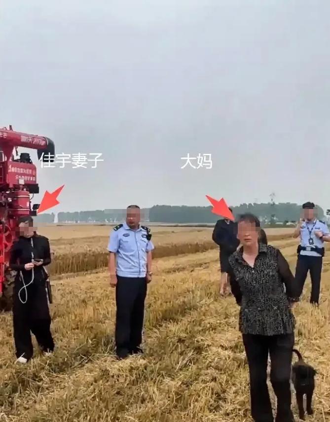 太寒心了！河南一对95后小夫妻，专门开着农机千里驰援跨省赶到襄阳帮农户抢收小麦，