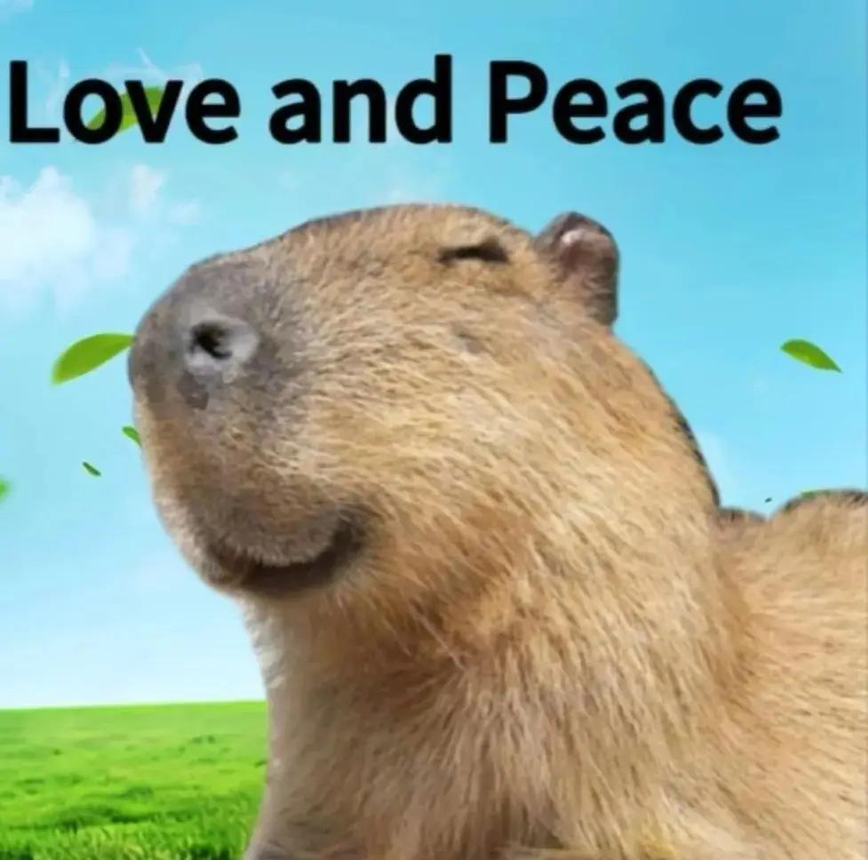 Have a nice weekend, followers!