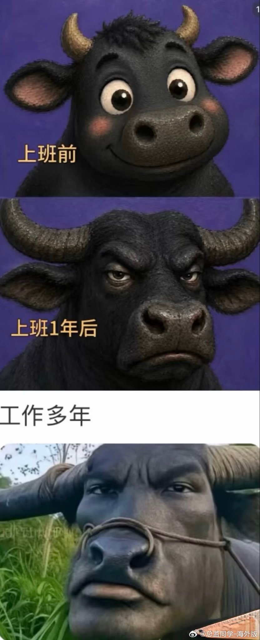 牛马成长记 