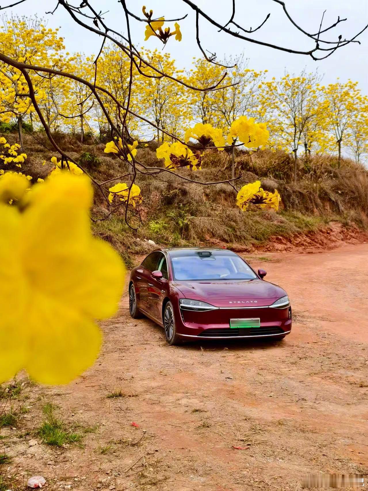 2025年照亮我的那束光 那肯定是天天开享界 S9 和享界S9T 上班通勤了，华