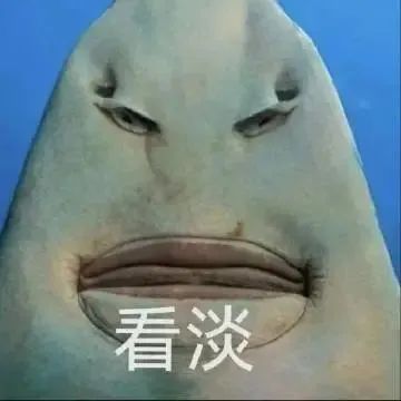 最爱用的发疯丑陋表情包 ​​​
