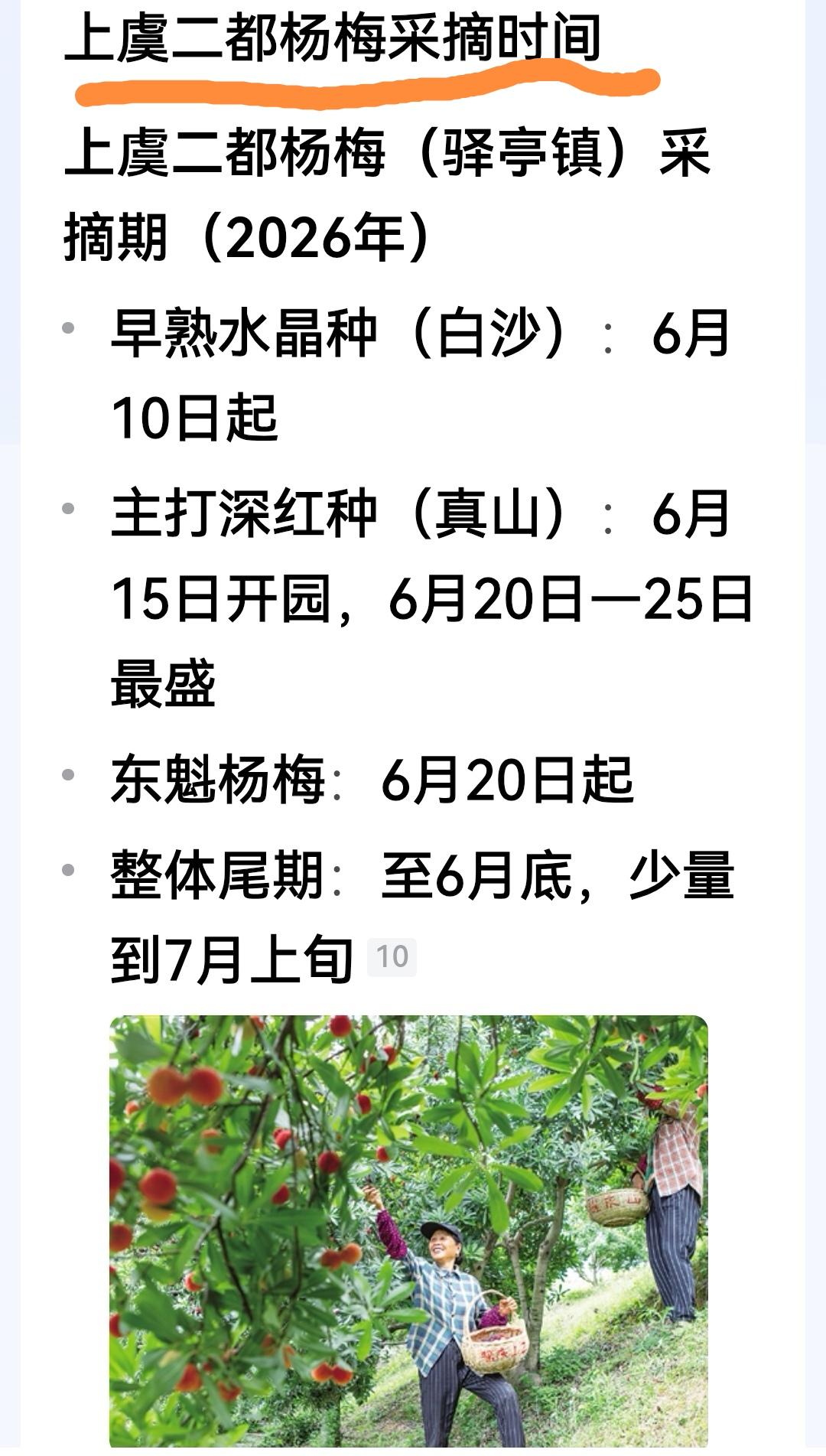 为了防止药水杨梅，只能去杨梅树上摘了，但要是打膨大剂一样没办法。