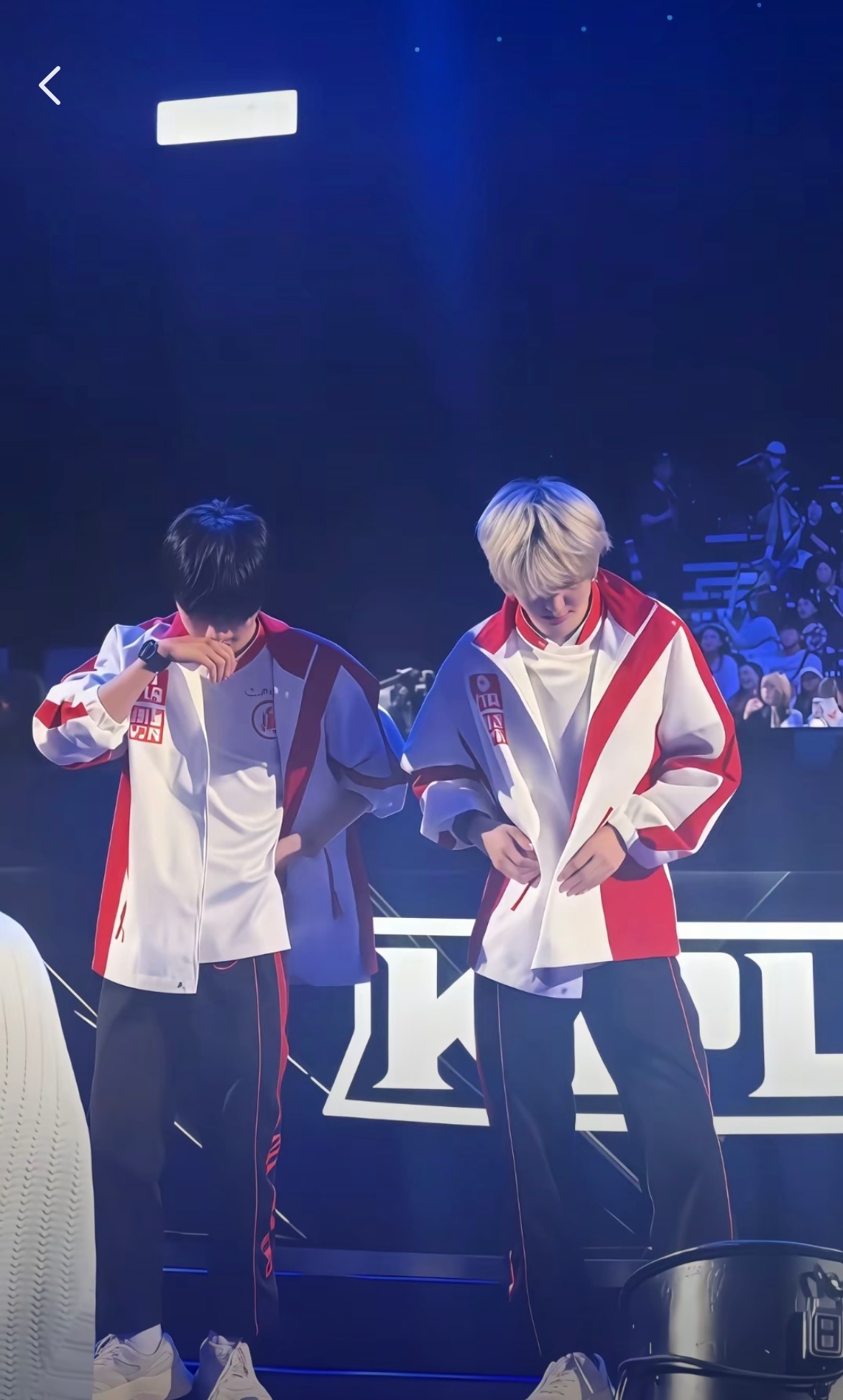 wc wc有没有人懂这一张