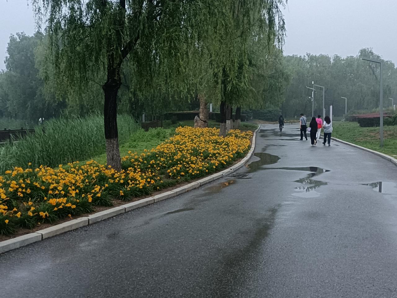 人一旦觉醒，会变得非常恐怖———

高手是没有情绪的。动不动就生气的人，没有一个