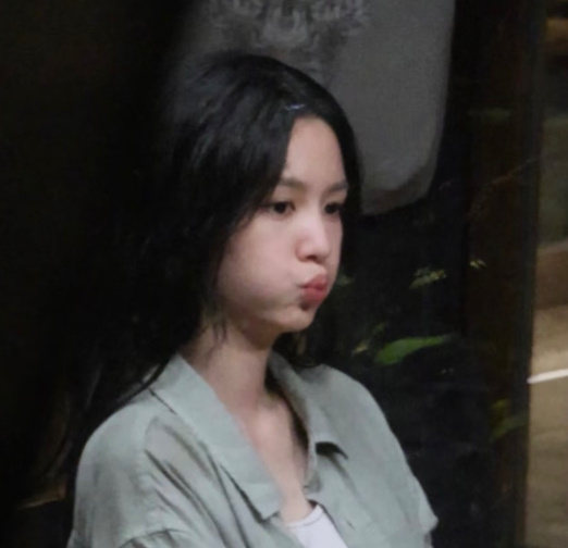 小猪🐷 