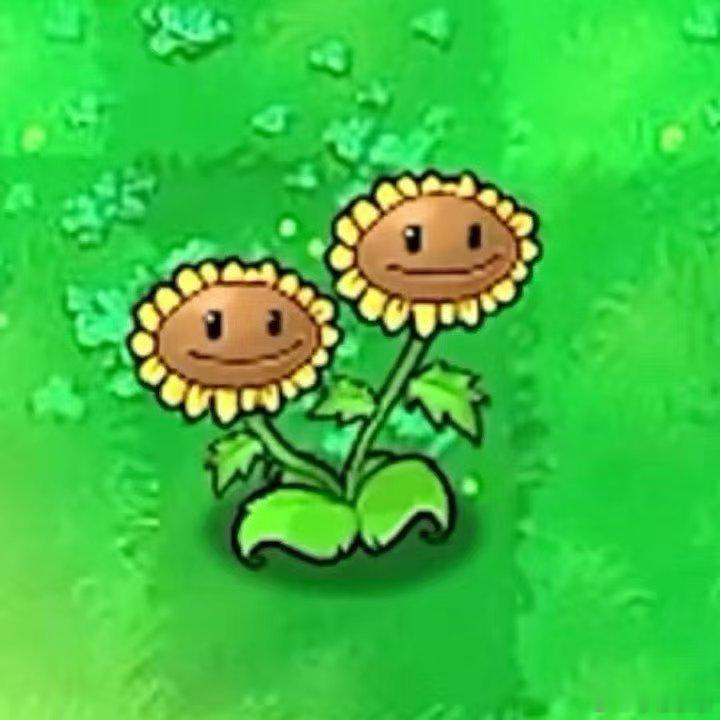 黄子弘凡胡先煦双头向日葵 春晚 笑晕了 咋这么贴哈哈哈哈哈哈哈哈哈哈哈哈哈哈哈哈