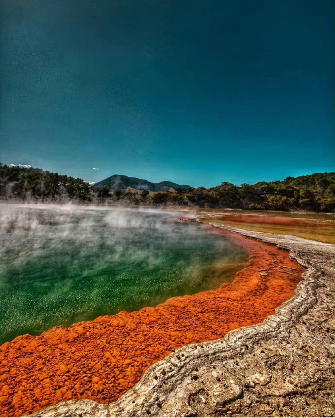 新西兰北岛，很仙的地方。  