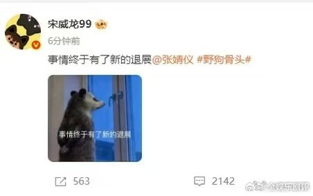 宋威龙发了张婧仪的负鼠表情包野狗骨头负鼠表情包搭配藤城售房名梗，宋威龙主动玩梗互