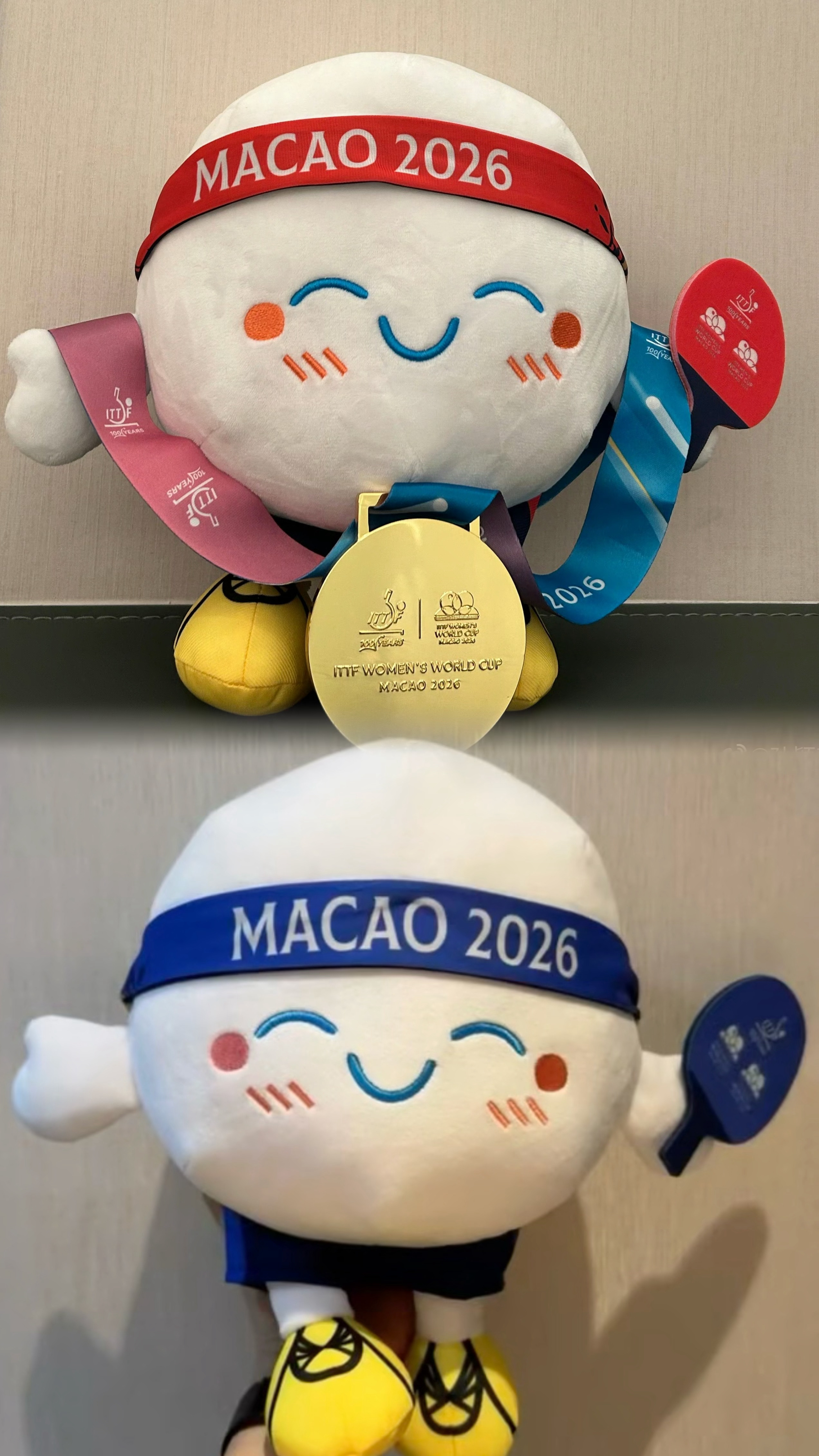 萌物跟着萌物回家