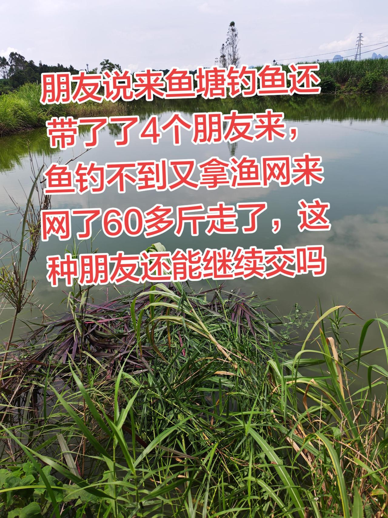 你们身边有没有这样的人？如果这样还要不要继续养鱼日记 朋友 农村生活 抖音玩法合