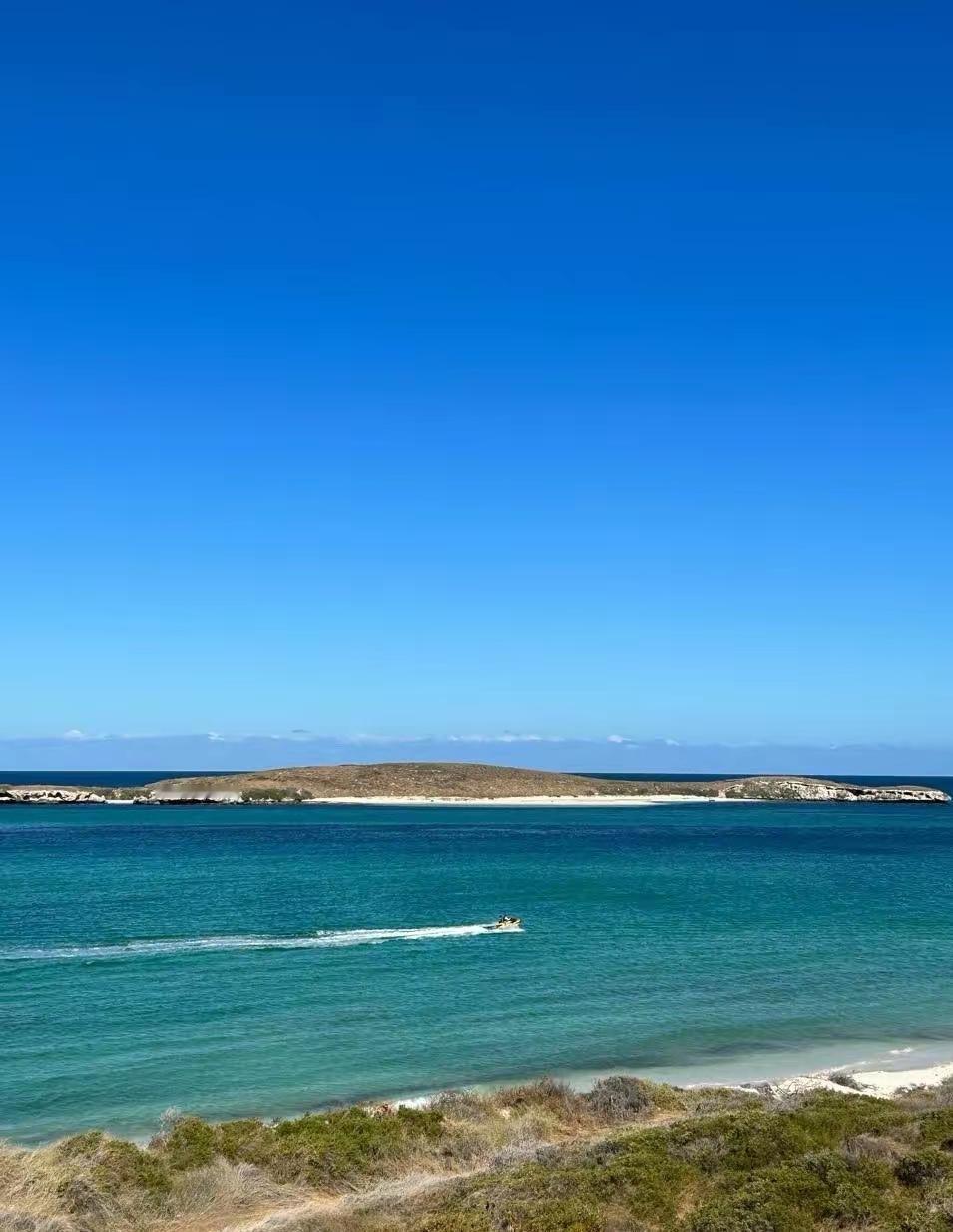 最近有个消息让家里有娃的家长们坐不住了！澳大利亚突然就发文规定，16岁以下的孩子