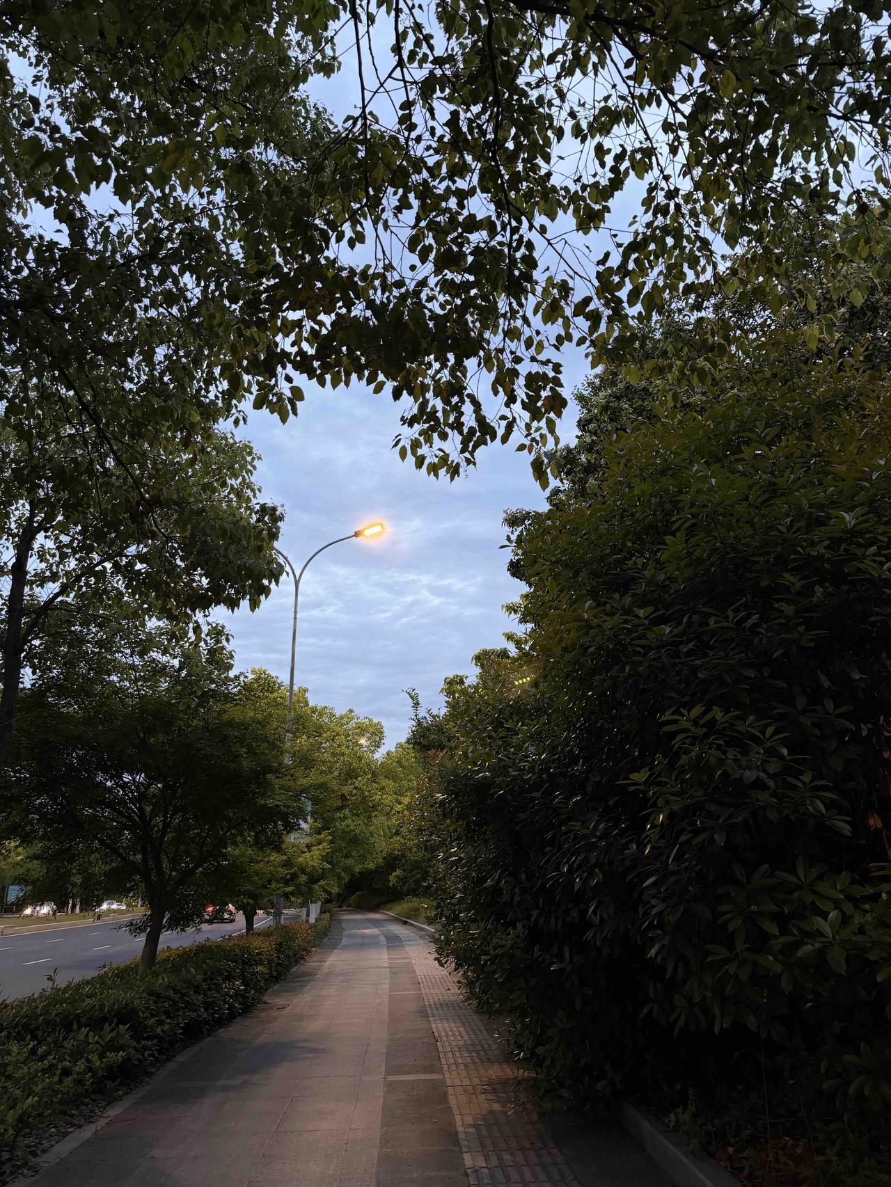 走在林荫步道，与暮色不期而遇

美好尽在生活细微处～

所有美的呈现都是你让它发