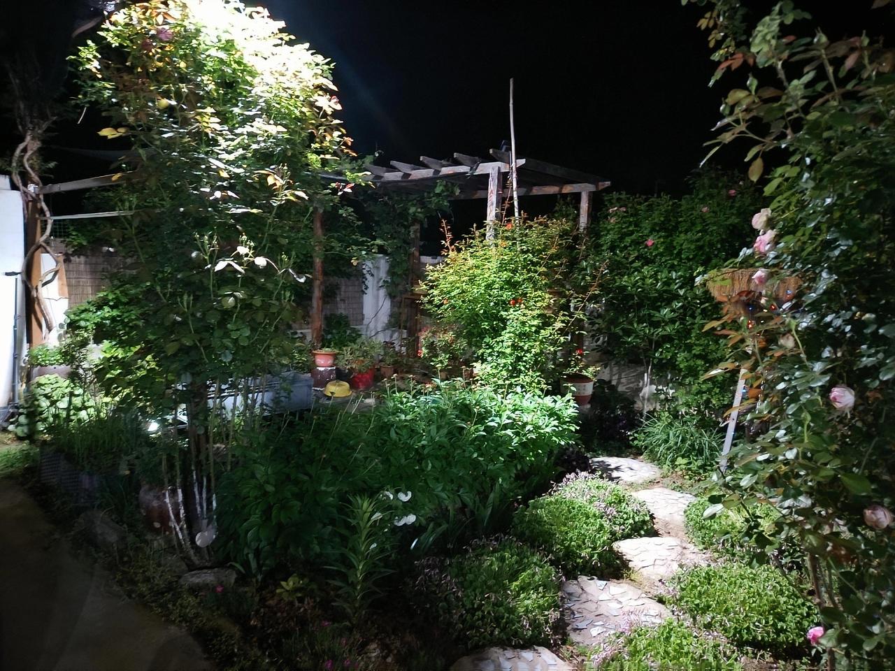 莳花弄草，修篱烹茶，不问尘事扰攘，但赏草木芬芳，忙亦欣然，闲亦清欢。