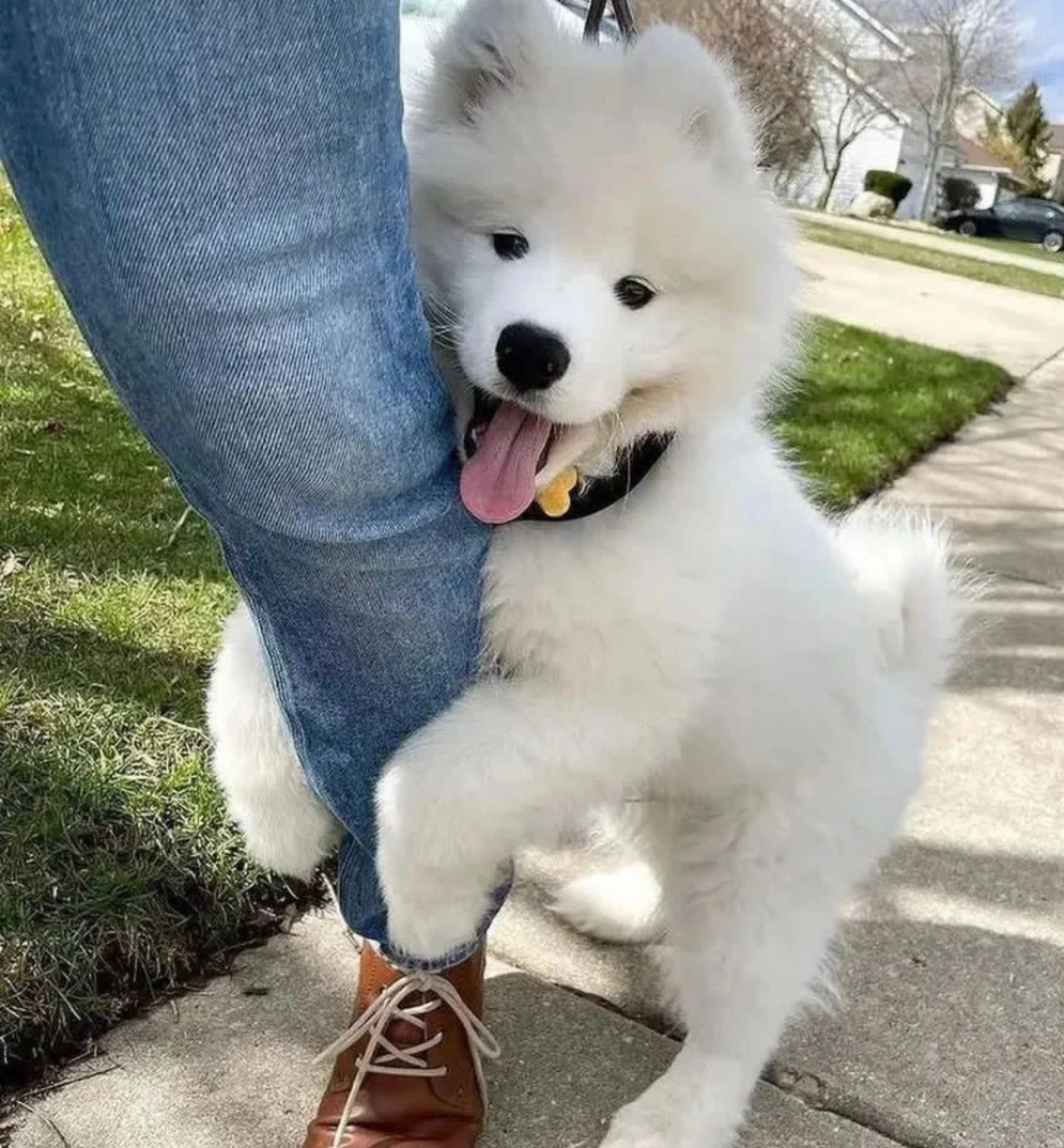 随机抱住一位姨姨 