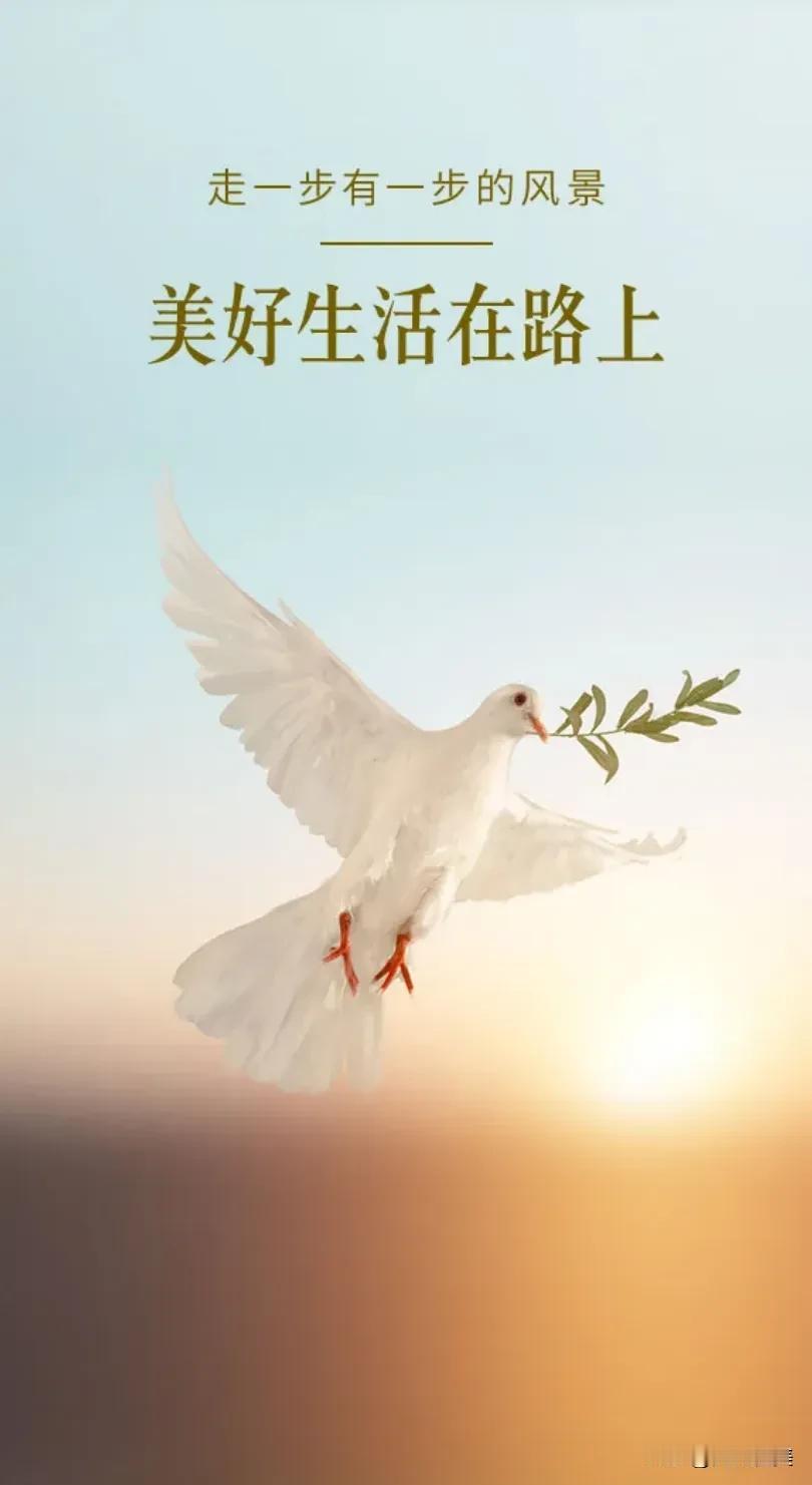 太阳落下也没有关系
我已经装下一口袋的阳光了
#秋日生活记录##阅文悦美# 
·