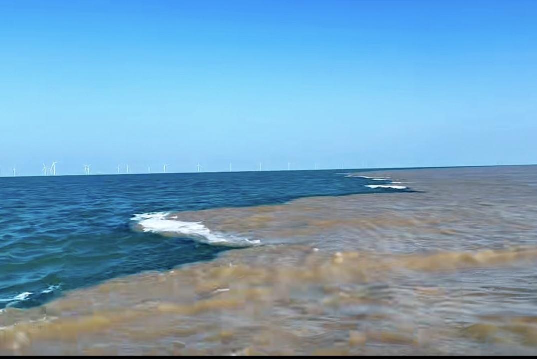 手机随手拍原创图片到山东省东营“黄河入海口”，观赏“天下第一鸳鸯锅”！
