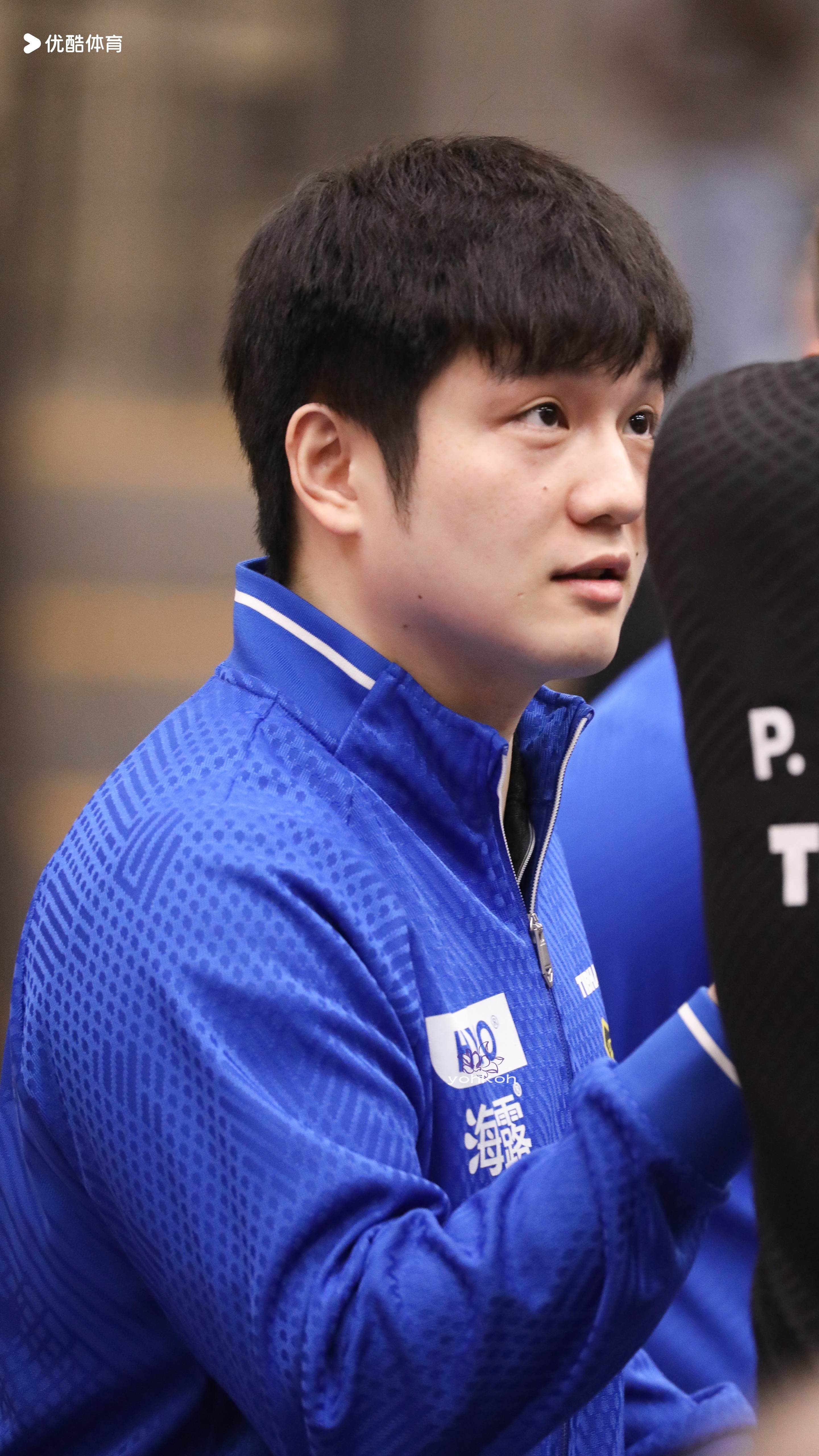 樊振东樊振东德甲德甲乒乓球联赛 申请魂穿小弗队长10秒🙋