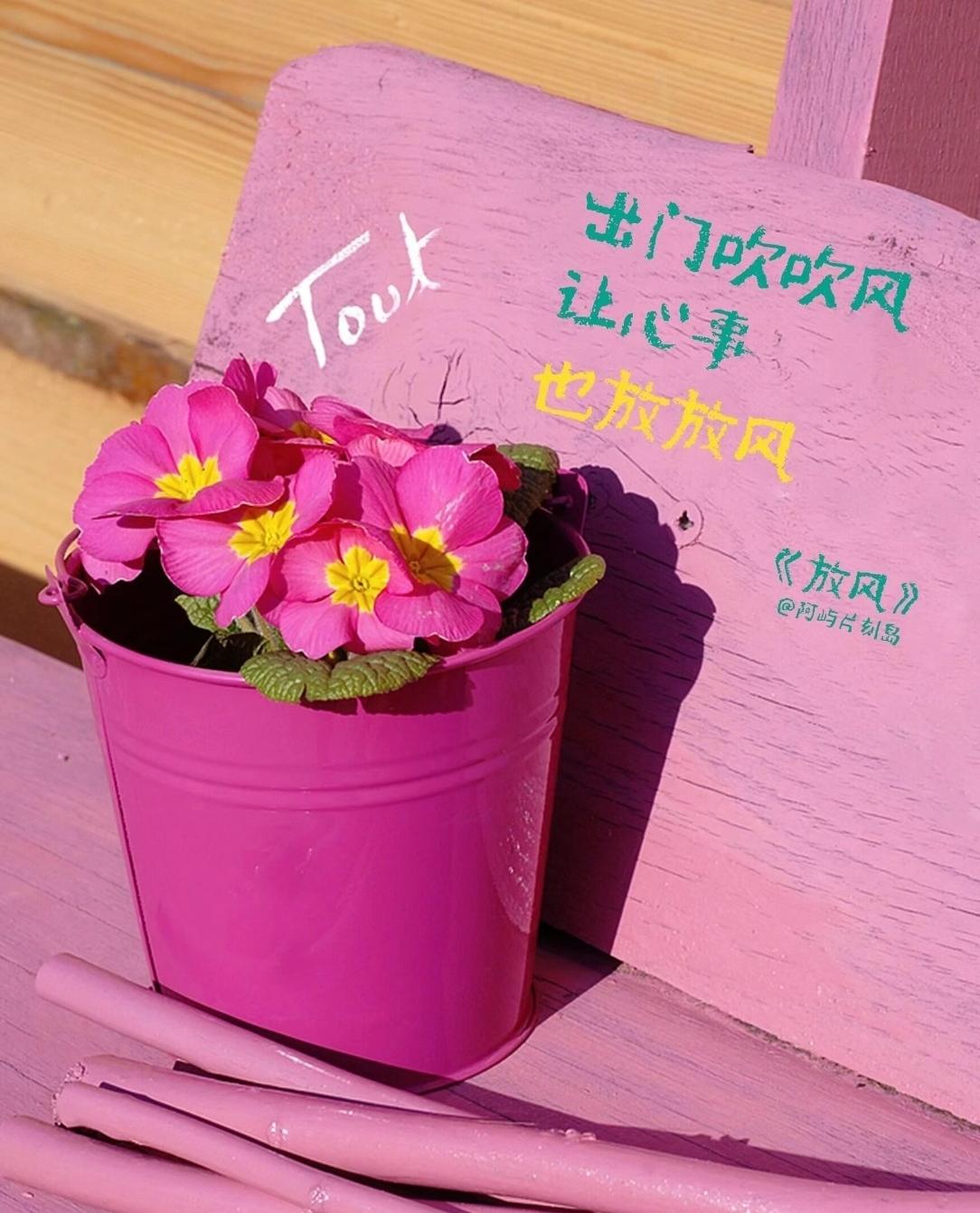 风掠过枝头，
光落在人间，
一切都刚刚好。